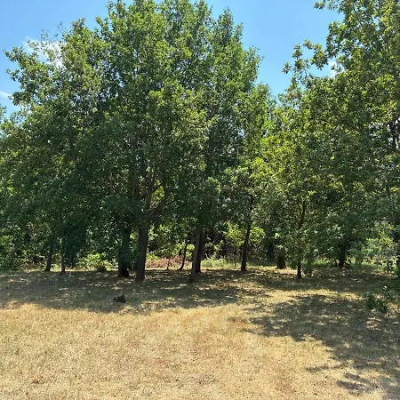 Vacation With Pool Villa