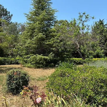 Vacation With Pool Villa *