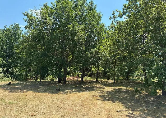 Vacation With Pool Villa